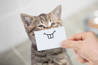kata lucu untuk caption media sosial